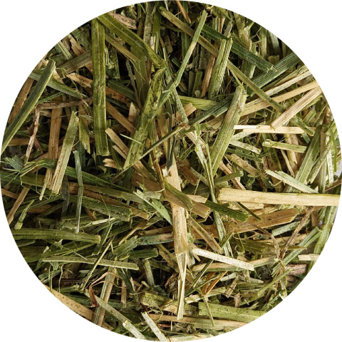 Sieczka susz z lucerny 10kg, profilaktyka choroby wrzodowej u koni Sieczka susz z lucerny 10kg, profilaktyka choroby wrzodowej u koni